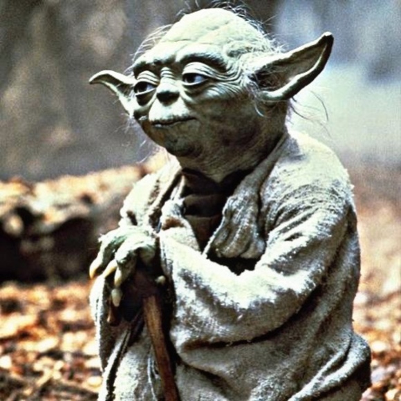 Meet your Posher, Posh - Picture 1 of 1